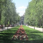 files-attractions-745705w[8f08810dddbdecd54720330fc63a1660]